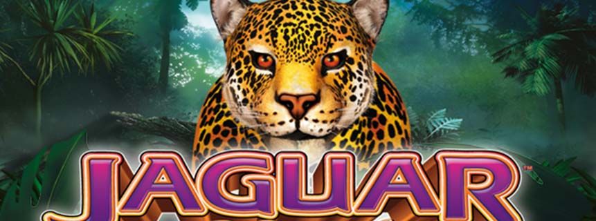 Explore the Jungle and Hunt for Jackpots: Your Complete Guide to Play Jaguar