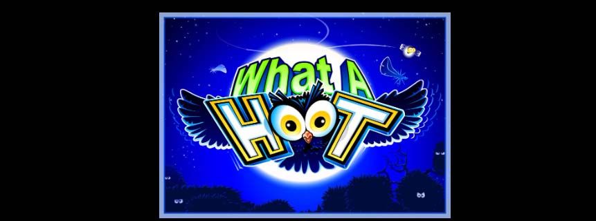 What a Hoot: A Hootin' Good Time with Casino Games Online