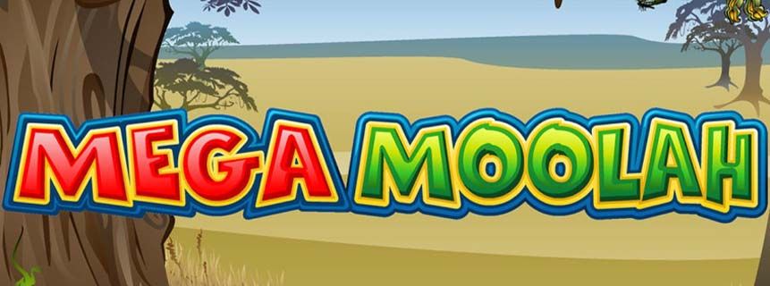 Can You Win Big with Mega Moolah? Stories from Real Players