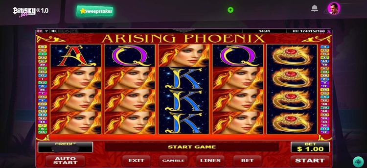 Arising Phoenix- 1.jpg