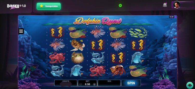 Dolphin Quest-1.jpg
