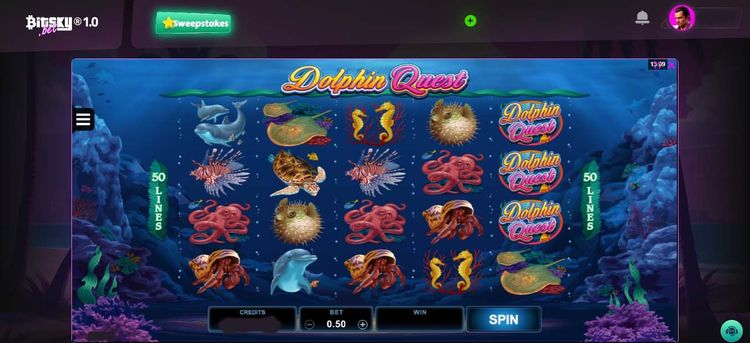 Dolphin quest- 1.jpg