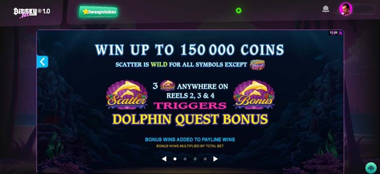 Dolphin quest- 2.jpg
