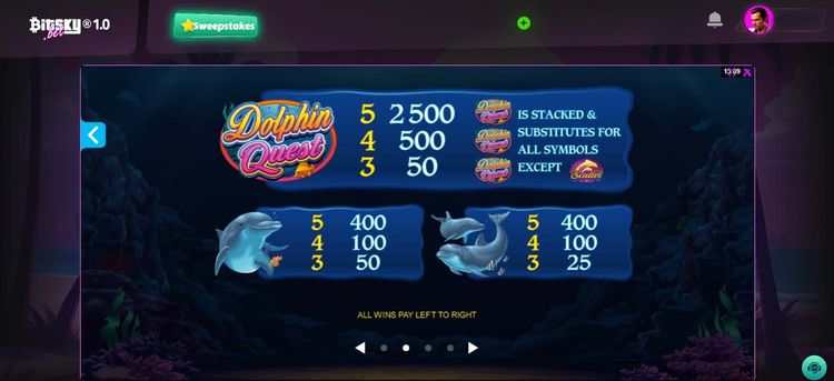 Dolphin quest- 3.jpg