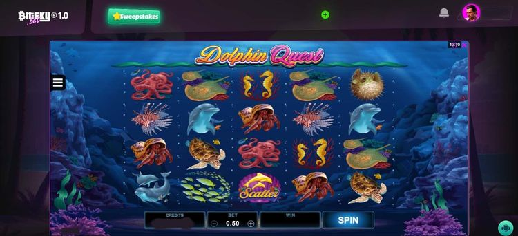 Dolphin quest- 4.jpg