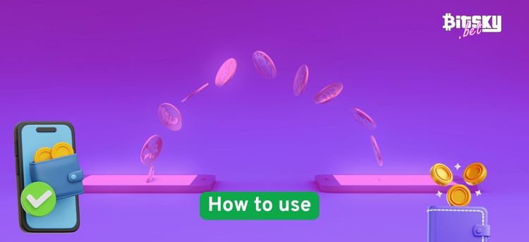 How to Use Crypto Wallets for Fast Wins at Funzone Casino-2.jpg
