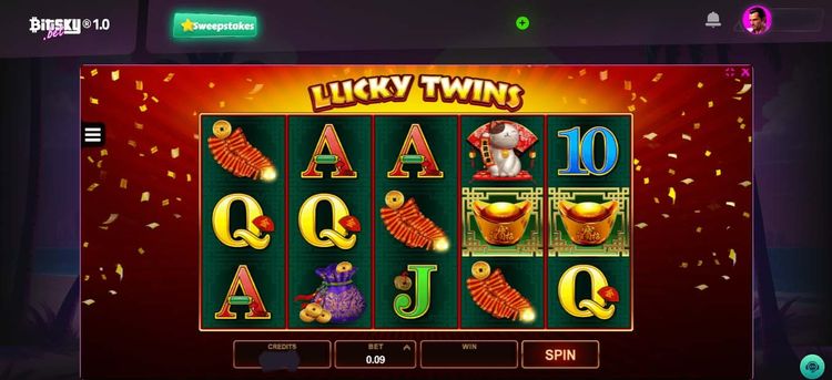 Lucky twins- 1.jpg