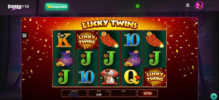 Lucky twins- 3.jpg