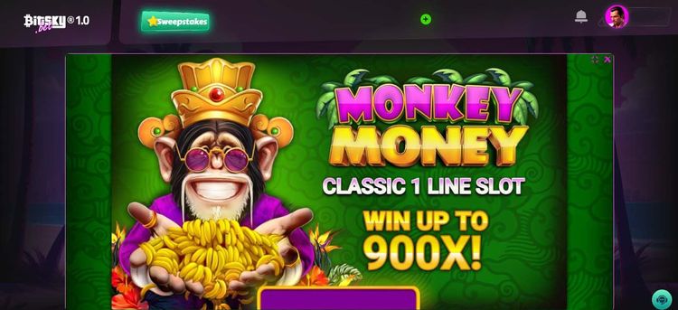 Monkey money- 1.jpg