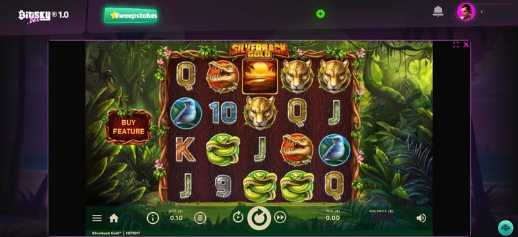 Silverback Gold- 4.jpg