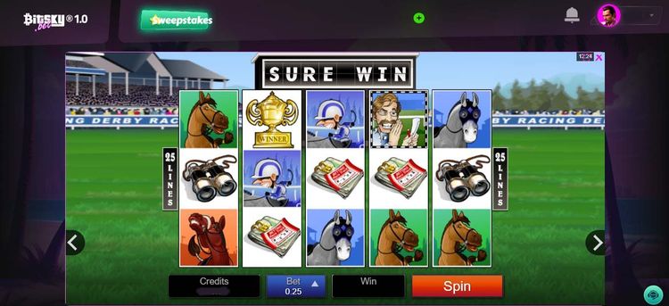 Sure win1.jpg