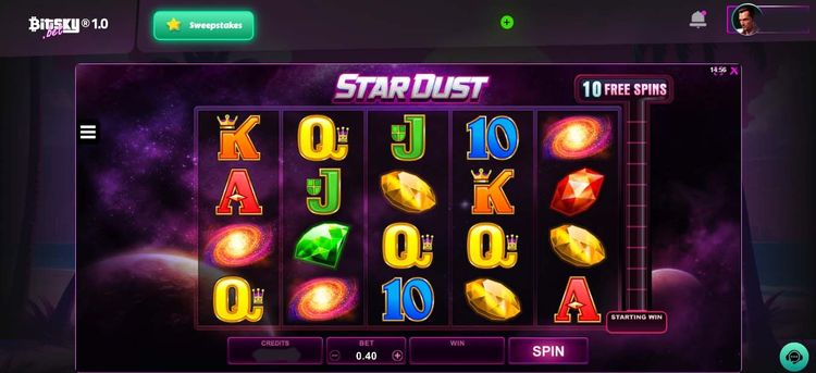 stardust- 1.jpg