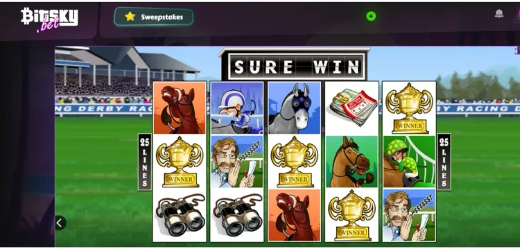surewin_2.webp