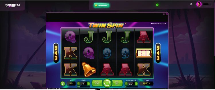 tspin1.JPG