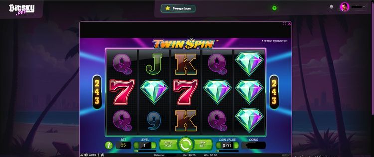 twinspin.JPG