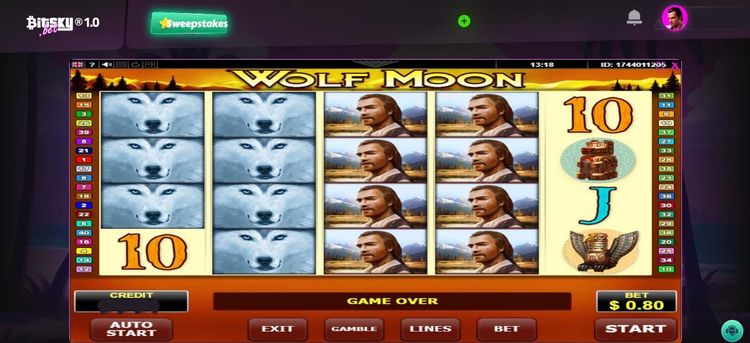wolf moon- 2.jpg